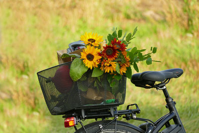 Close-up of bicycle on yellow flower