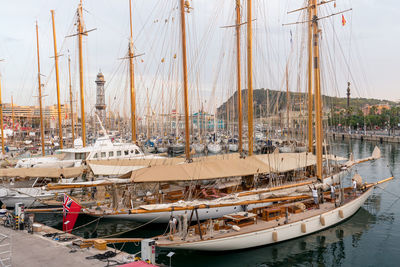 Sailboats moored in harbor