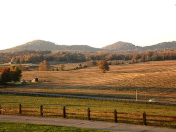 Scenic view of rural landscape