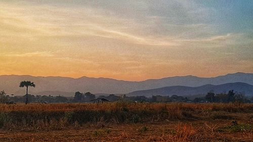 Scenic view of field against sky during sunset