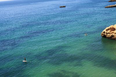 High angle view of men paddleboarding in sea