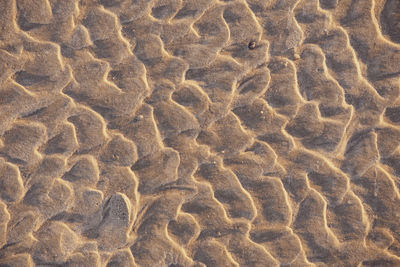 Full frame shot of abstract background