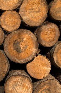 Full frame shot of logs