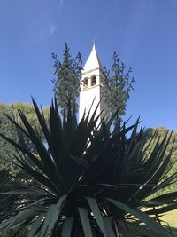 Low angle view of tree by building against clear blue sky