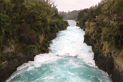 Scenic view of river flowing amidst trees