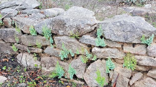 Full frame shot of stone wall