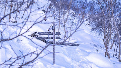 Snow covered land and trees against sky