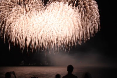 People enjoying in water at night