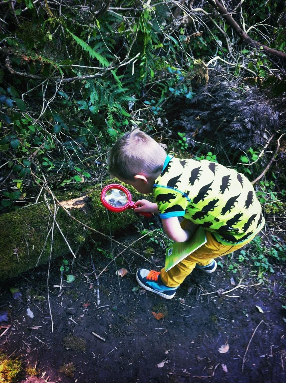 high angle view, still life, grass, creativity, toy, shoe, art and craft, day, field, animal representation, art, ground, no people, outdoors, pair, close-up, sunlight, childhood, plant, abandoned