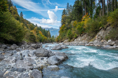 Scenic view of river amidst trees against sky