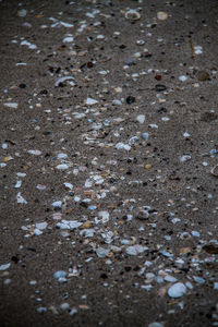 Full frame shot of sand
