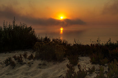 Scenic view of sea against sky during sunset