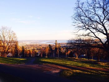 Reflection of trees in water