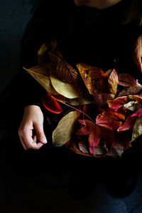 High angle view of woman holding flowers in black background