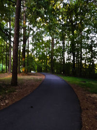 Road amidst trees in forest