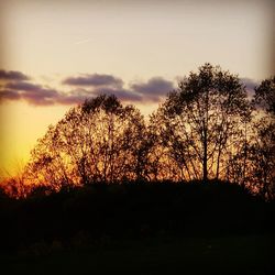 Silhouette trees in forest against sky during sunset