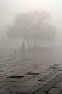 Scenic view of beach against sky during foggy weather