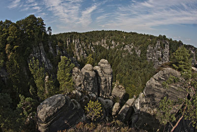 Rock formation amidst trees against sky