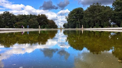 Reflection of trees in calm lake