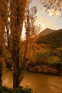 Scenic view of lake against sky during autumn