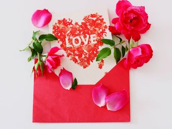 Close-up of red rose flower over white background