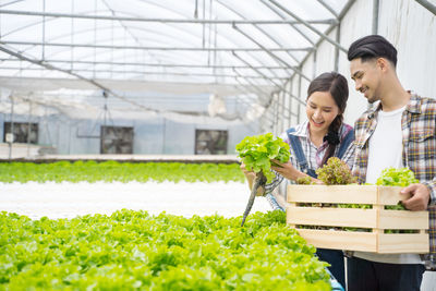 Smiling man holding container with vegetable while talking with woman at farm