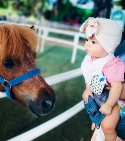 Close-up of baby looking at horse