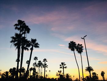 Low angle view of silhouette palm trees against sky