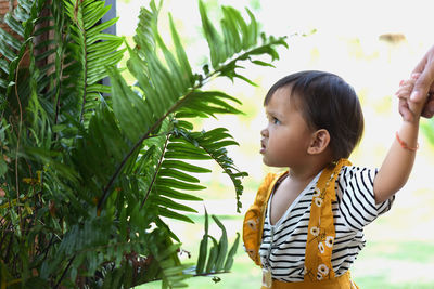 Preschoolers exploring nature little boy looking at fern leaves summer vacation for curious children