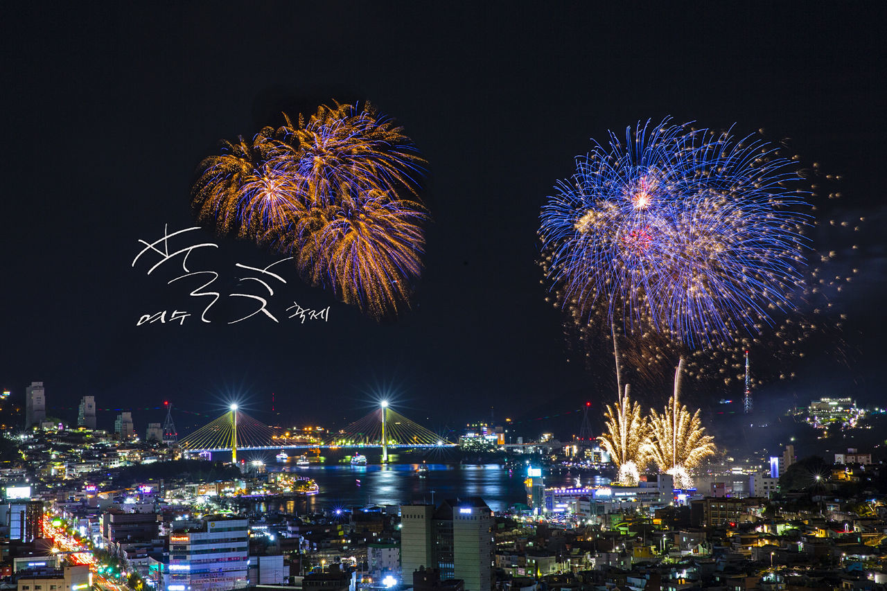 FIREWORK DISPLAY AGAINST SKY AT NIGHT