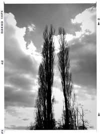 Low angle view of bare trees against cloudy sky