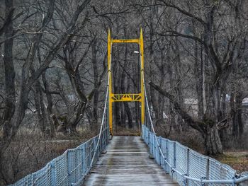 Footbridge amidst trees in forest