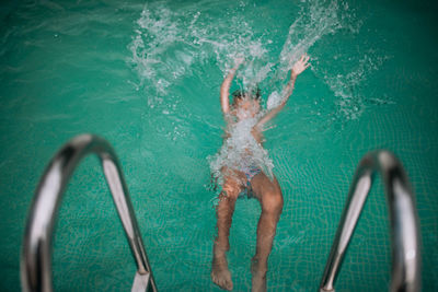 High angle view of jellyfish swimming in pool