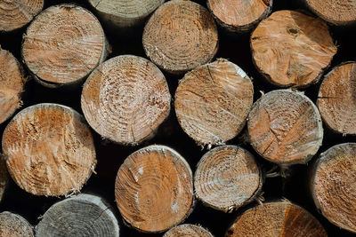 Full frame shot of logs