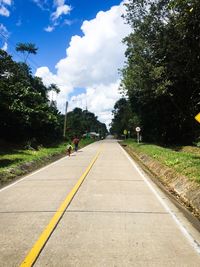 View of road passing through a park