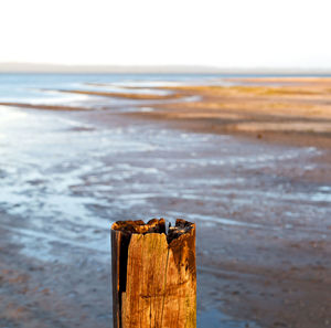 Close-up of wooden posts on beach