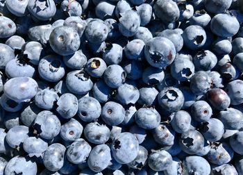 Full frame shot of blueberries