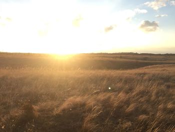 Scenic view of field against sky during sunset