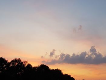 Low angle view of silhouette trees against sky during sunset