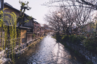 River amidst houses and trees against sky