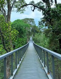 Manmade bridge on top of rainforest located on top of a hill. 