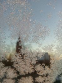 Close-up of water against trees