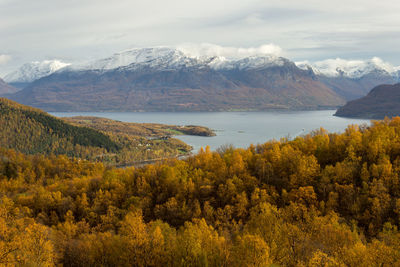 Orange trees by lake and snow covered mountains against sky