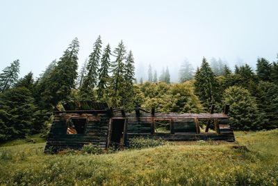 Abandoned cabin on field against trees in foggy forest against sky