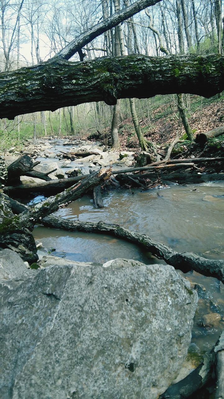 water, tree, bridge - man made structure, connection, river, nature, flowing water, rock - object, tranquility, metal, day, old, built structure, outdoors, forest, stone - object, no people, railing, wood - material, footbridge