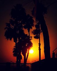 Silhouette trees against clear sky during sunset