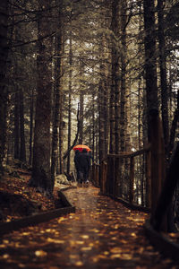 Spain, catalonia, people walking along boardwalk in autumn forest