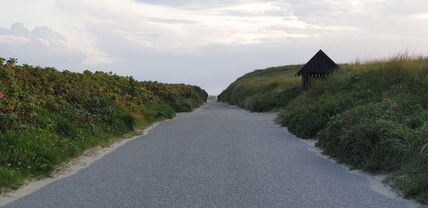 Road amidst plants against sky