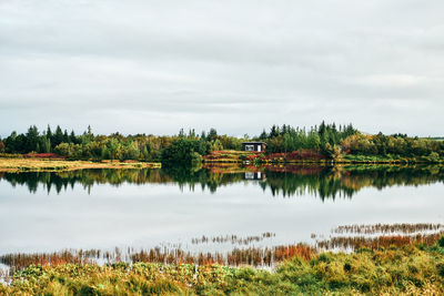 Landscape of lonely coastal house and colorful forest