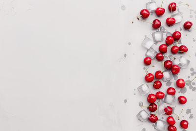 Directly above shot of red berries on table